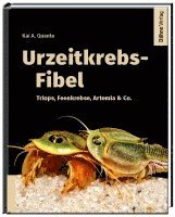 bokomslag Urzeitkrebs-Fibel