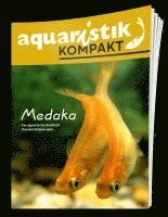 bokomslag Medaka - aquaristik KOMPAKT