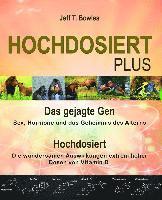 Jeff T. Bowles - Hochdosiert Plus, Häftad