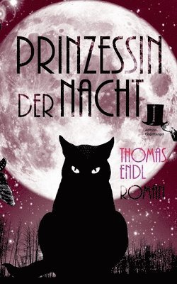 bokomslag Prinzessin der Nacht