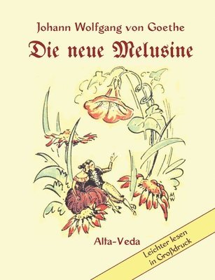 bokomslag Die neue Melusine