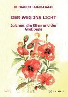 bokomslag Der Weg ins Licht