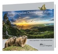 bokomslag Naturparadies Chiemgauer Alpen