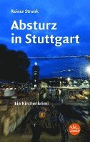 bokomslag Absturz in Stuttgart