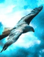 bokomslag Fantasy Notizbuch: Adler im Sturm - weiße Seiten mit Eckmotiv