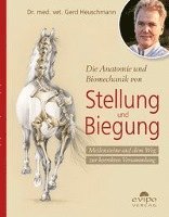 bokomslag Die Anatomie und Biomechanik von Stellung und Biegung