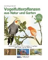 Vogelfutterpflanzen aus Natur und Garten 1