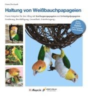 bokomslag Haltung von Weißbauchpapageien