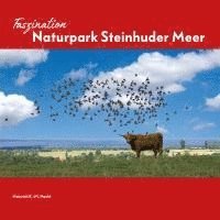 bokomslag Faszination Naturpark Steinhuder Meer