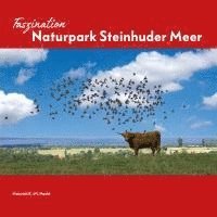 bokomslag Faszination Naturpark Steinhuder Meer