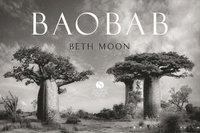bokomslag BAOBAB: Meine Reise zu den ältesten Lebewesen und Waldwächtern