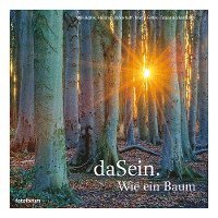 daSein. Wie ein Baum 1