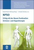 NPSO 1