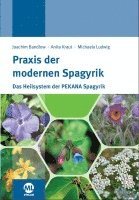 bokomslag Praxis der modernen Spagyrik