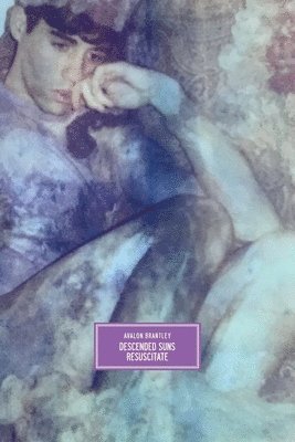 Avalon Brantley - Descended Suns Resuscitate, Häftad