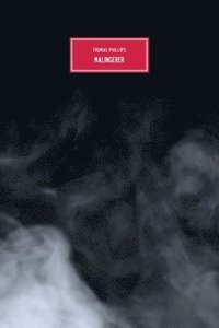 bokomslag Malingerer