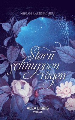 Sternschnuppenregen