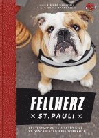 Simone Buchholz - Fellherz St. Pauli, Inbunden