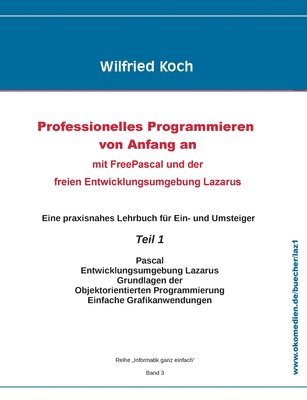 bokomslag Professionelles Programmieren von Anfang an