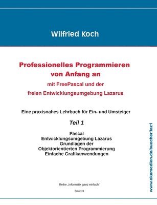 Wilfried Koch - Professionelles Programmieren von Anfang an, Häftad