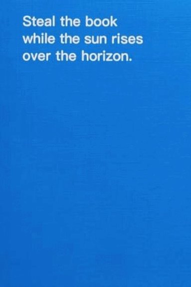 David Horvitz - How to shoplift books, Häftad
