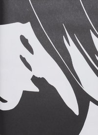 bokomslag Schatten - Ombre