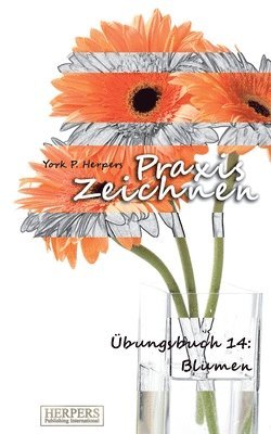 bokomslag Praxis Zeichnen - Übungsbuch 14