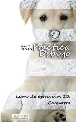 bokomslag Práctica Dibujo - Libro de ejercicios 10