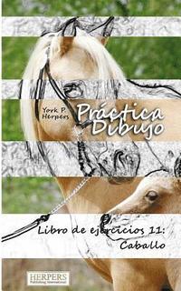 bokomslag Práctica Dibujo - Libro de ejercicios 11