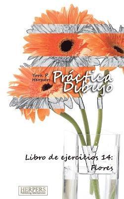 bokomslag Práctica Dibujo - Libro de ejercicios 14