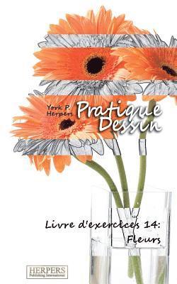 bokomslag Pratique Dessin - Livre d'exercices 14