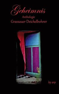 bokomslag Literaturpreis Grassauer Deichelbohrer - Geheimnis