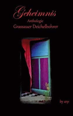 bokomslag Literaturpreis Grassauer Deichelbohrer - Geheimnis