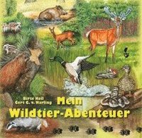 bokomslag Mein Wildtier-Abenteuer