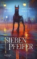 bokomslag Sieben Pfeifer