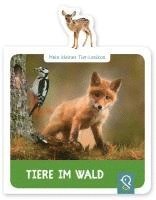 bokomslag Mein kleines Tier-Lexikon - Tiere im Wald
