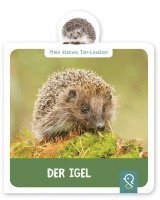 bokomslag Mein kleines Tier-Lexikon - Der Igel