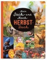 bokomslag Mein Sach- und Mach-Herbst-Buch