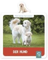 bokomslag Mein kleines Tier-Lexikon - Der Hund