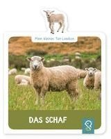 bokomslag Mein kleines Tier-Lexikon - Das Schaf
