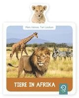 bokomslag Tiere in Afrika
