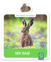 Hannah Kastenhuber - Der Hase, Kartonnage