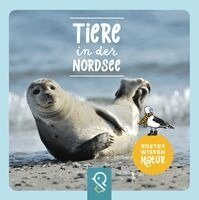 Tiere in der Nordsee