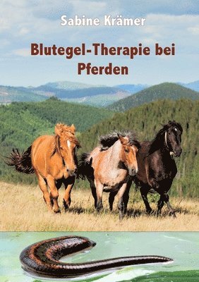 bokomslag Blutegel-Therapie bei Pferden