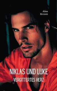 bokomslag Niklas und Luke