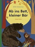 bokomslag Ab ins Bett, kleiner Bär