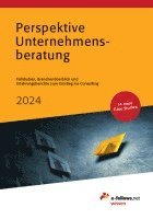 bokomslag Perspektive Unternehmensberatung 2024