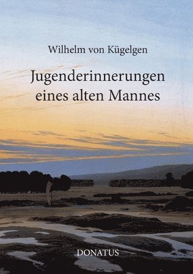 bokomslag Jugenderinnerungen eines alten Mannes