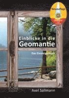 bokomslag Einblicke in die Geomantie - Das Einsteigerbuch