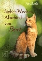 bokomslag Sieben Wochen Abschied von Bert